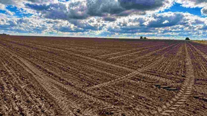 lote-labrado-siembra-directa-suelo-ruralnet