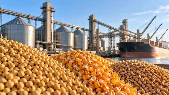 mercado-granos-soja-maiz-trigo-ruralnet Soja, maíz y trigo en primer plano junto a una terminal de acopio y exportación, en una imagen ilustrativa del mercado de granos.