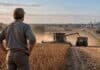 CRA advierte que la presión impositiva frena la inversión y golpea a los pueblos del interior Productor observa la cosecha en un campo argentino, con cosechadora y tractor trabajando al atardecer.