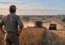 CRA advierte que la presión impositiva frena la inversión y golpea a los pueblos del interior Productor observa la cosecha en un campo argentino, con cosechadora y tractor trabajando al atardecer.