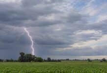 Pronóstico del 24 al 26 de octubre: las tormentas pierden fuerza desde el domingo Tormenta eléctrica con un relámpago ramificado sobre un campo agrícola, durante una jornada de cielo nublado y lluvias en Argentina.
