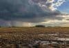 Pronóstico hasta el domingo 4: cuándo ceden las tormentas en Entre Ríos y Santa Fe Campo en barbecho con suelo húmedo, nubes de tormenta y claros de sol sobre el horizonte