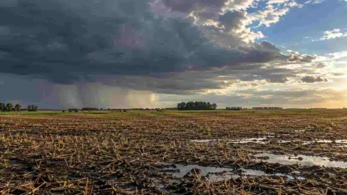 Campo en barbecho con suelo húmedo, nubes de tormenta y claros de sol sobre el horizonte
