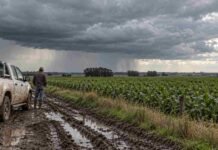 Pronóstico para jueves, viernes y sábado: el norte concentra las tormentas fuertes y el centro sigue inestable Productor junto a una camioneta sobre un camino rural embarrado, mientras una tormenta avanza sobre un lote agrícola en Argentina.