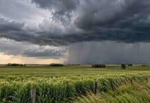 Pronóstico del 31 de octubre al 2 de noviembre: tormentas fuertes en el centro y hasta 37 °C en el norte Tormenta sobre campos agrícolas con nubarrones oscuros y cortinas de lluvia durante el pronóstico agropecuario del 31 de octubre al 2 de noviembre en Argentina.