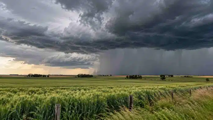 Tormenta sobre campos agrícolas con nubarrones oscuros y cortinas de lluvia durante el pronóstico agropecuario del 31 de octubre al 2 de noviembre en Argentina.