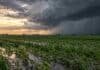 Pronóstico del 6 al 8 de octubre: las tormentas ganan intensidad en el centro y luego avanzan al norte Lote agrícola anegado con cortina de lluvia y frente de tormenta avanzando sobre el centro del país durante el pronóstico del 6 al 8 de octubre.