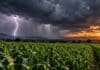 Pronóstico del 29 al 31 de octubre: tormentas fuertes en el NOA y temperaturas de hasta 34 °C Tormenta eléctrica con un relámpago sobre un campo agrícola y un molino rural, bajo un cielo oscuro con lluvias intensas en el horizonte.