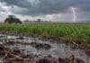 Pronóstico de octubre a diciembre: prevén lluvias superiores a lo normal en el centro y menores en el oeste del NOA Tractor en movimiento bajo la lluvia junto a un campo cultivado, con charcos en primer plano y un relámpago al fondo