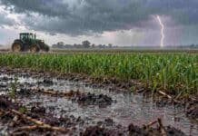 Pronóstico de octubre a diciembre: prevén lluvias superiores a lo normal en el centro y menores en el oeste del NOA Tractor en movimiento bajo la lluvia junto a un campo cultivado, con charcos en primer plano y un relámpago al fondo