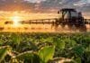 Más agua y calor elevan el riesgo de enfermedades: qué mirar para proteger el rendimiento Pulverizadora aplicando un tratamiento sobre un cultivo de soja, en una imagen ilustrativa de la protección fungicida y la calidad de aplicación.
