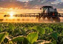 Más agua y calor elevan el riesgo de enfermedades: qué mirar para proteger el rendimiento Pulverizadora aplicando un tratamiento sobre un cultivo de soja, en una imagen ilustrativa de la protección fungicida y la calidad de aplicación.