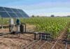 Riego solar sin red: INTA define cuánta potencia y caudal necesita cada hectárea Sistema de riego alimentado con paneles solares instalado en un lote de maíz, como alternativa para campos sin acceso a la red eléctrica.