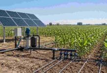 Riego solar sin red: INTA define cuánta potencia y caudal necesita cada hectárea Sistema de riego alimentado con paneles solares instalado en un lote de maíz, como alternativa para campos sin acceso a la red eléctrica.