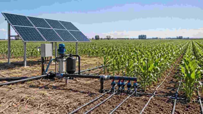 riego-solar-off-grid-maiz-ruralnet Sistema de riego alimentado con paneles solares instalado en un lote de maíz, como alternativa para campos sin acceso a la red eléctrica.