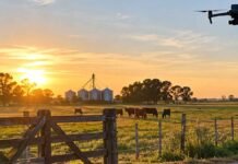 Delito rural en Entre Ríos: casi 100 productores reclaman drones, cámaras y respuestas judiciales Dron de vigilancia sobre un acceso rural con hacienda y establecimientos agropecuarios, en una imagen que representa el reclamo por mayor seguridad en zonas rurales de Entre Ríos.