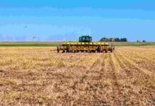 Maíz 2026/27: la siembra alcanza el 34,8% del área prevista Sembradora trabajando sobre un lote con rastrojo en un sistema de siembra directa, durante la implantación de un cultivo.