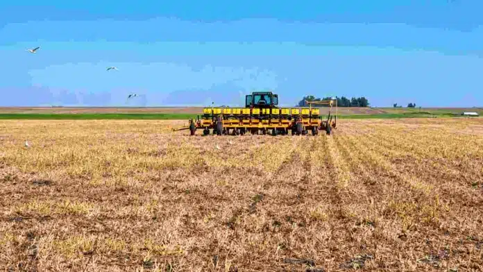 siembra-directa-rastrojo-sembradora-ruralnet Sembradora trabajando sobre un lote con rastrojo en un sistema de siembra directa, durante la implantación de un cultivo.