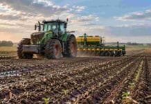 Girasol: la siembra alcanza el 36,1% del área proyectada Tractor con sembradora trabajando en un lote agrícola, en una jornada de siembra con suelo húmedo tras las lluvias.
