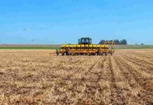 Maíz 2026/27: la siembra ya cubre el 29,9% del área Sembradora trabajando sobre un lote agrícola con rastrojo durante una jornada de implantación del cultivo.