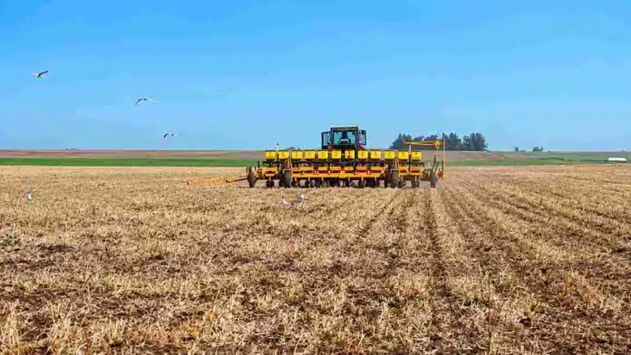 siembra-lote-agricola-sembradora-ruralnet Sembradora trabajando sobre un lote agrícola con rastrojo durante una jornada de implantación del cultivo.