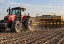 Girasol y maíz temprano: finalizó la siembra en Santa Fe Tractor Massey Ferguson sembrando maíz con una sembradora de granos gruesos Agrometal en un campo agrícola de Argentina, durante la campaña de siembra.