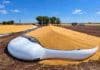 El proyecto contra el vandalismo rural obtuvo dictamen favorable y quedó listo para el recinto de Diputados Silobolsa roto con granos derramados sobre el suelo en un campo argentino, bajo un cielo despejado, con maquinaria agrícola al fondo.
