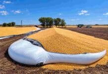El proyecto contra el vandalismo rural obtuvo dictamen favorable y quedó listo para el recinto de Diputados Silobolsa roto con granos derramados sobre el suelo en un campo argentino, bajo un cielo despejado, con maquinaria agrícola al fondo.