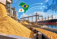 Soja argentina: la Unión Europea abre una oportunidad de exportación frente a Brasil en 2027 Harina de soja en una terminal agroexportadora con un buque carguero y una representación de las rutas comerciales de Argentina y Brasil hacia la Unión Europea.