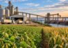 Argentina puede ganar terreno en las exportaciones agroindustriales hacia 2035 Cultivos de soja y maíz frente a una terminal portuaria de granos, con silos, camiones y un buque carguero durante una operación de exportación.