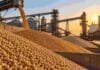 Granos: la soja cedió en Rosario y el trigo mejoró posiciones diferidas en una rueda presionada por Chicago Soja descargándose en una terminal portuaria de granos, con silos y un buque cerealero al fondo durante una jornada de comercialización.