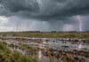 El SMN advierte por tormentas en cinco provincias y suma alertas por nieve, viento y Zonda Campo encharcado con rastrojos bajo nubes de tormenta, cortinas de lluvia y un relámpago en el horizonte.