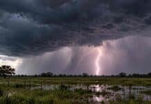 Tormentas, nevadas y vientos fuertes ponen bajo alerta a 11 provincias Tormenta fuerte con cielo oscuro, relámpago y lluvias intensas sobre campos anegados en un paisaje rural representativo de Chaco y Corrientes.