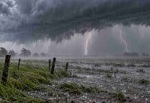 Prevén tormentas en ocho provincias este sábado: hasta 90 mm y ráfagas superiores a 100 km/h Imagen ilustrativa de una tormenta fuerte con relámpagos, lluvia intensa y granizo sobre un campo encharcado.