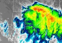 Tormentas con granizo y ráfagas: se activan avisos en cinco provincias del norte y Litoral Imagen satelital de un extenso sistema de tormentas sobre el norte argentino y el Litoral, con núcleos de gran intensidad identificados en colores verdes, amarillos y rojos.