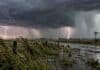 Prevén tormentas fuertes a severas este miércoles: hasta 100 mm y granizo en varias provincias Tormentas fuertes a severas avanzan sobre un campo rural con lluvias intensas, relámpagos y sectores anegados.