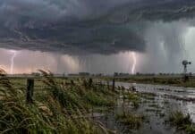 Prevén tormentas fuertes a severas este miércoles: hasta 100 mm y granizo en varias provincias Tormentas fuertes a severas avanzan sobre un campo rural con lluvias intensas, relámpagos y sectores anegados.