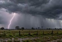 Tormentas severas ponen bajo alerta naranja a cuatro provincias: hasta 150 mm en Misiones Tormenta severa sobre un paisaje rural de Corrientes, con nubes oscuras, lluvia intensa y un relámpago ramificado durante una alerta naranja.