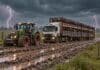 Pronóstico del 14 al 16 de octubre: lluvias en Buenos Aires y tormentas en Córdoba y Santa Fe Tractor Fendt de gran porte remolca un camión jaula cargado con hacienda, encajado en un camino rural con abundante barro, bajo un cielo de tormenta con relámpagos.